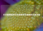 天天棋牌游戏平台探索快乐游戏的无限可能