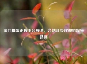澳门棋牌正规平台安全、合法且受欢迎的娱乐选择