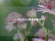 nba大比分2023赛季的看点