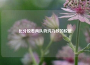比分胶着两队势均力敌的较量