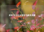 足球 比分比分变化与胜负关键
