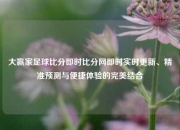 大赢家足球比分即时比分网即时实时更新、精准预测与便捷体验的完美结合