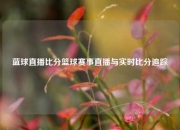 蓝球直播比分篮球赛事直播与实时比分追踪