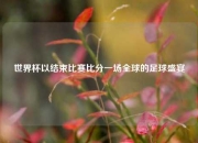 世界杯以结束比赛比分一场全球的足球盛宴