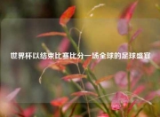 世界杯以结束比赛比分一场全球的足球盛宴