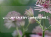 vpgame比分网实时更新与专业分析的完美结合