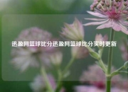 迅盈网篮球比分迅盈网篮球比分实时更新