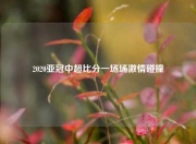 2020亚冠中超比分一场场激情碰撞