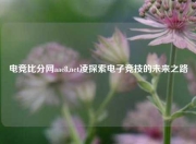 电竞比分网aac8,net凌探索电子竞技的未来之路