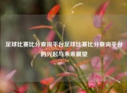 足球比赛比分查询平台足球比赛比分查询平台的兴起与未来展望