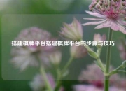 搭建棋牌平台搭建棋牌平台的步骤与技巧