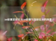 360彩票足彩比分360彩票与足彩比分的探索
