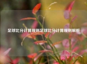 足球比分计算规则足球比分计算规则解析
