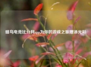 蜂鸟电竞比分网app为你的游戏之旅增添光彩