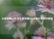 王者荣耀kpl比分王者荣耀KPL比赛比分实时更新