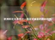 欧洲杯比分表统计一场足球盛宴的精彩回顾