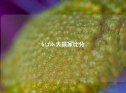 bf.310v大赢家比分