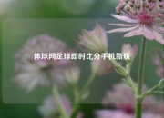 体球网足球即时比分手机新版