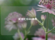 足球比分8BO体育