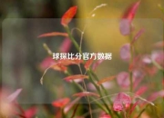 球探比分官方数据