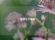 篮球比分播报