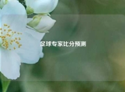 足球专家比分预测
