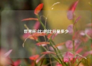 世界杯3比3的比分是多少