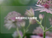 体育即时比分完整网