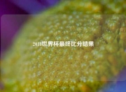 2018世界杯最终比分结果