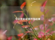 今日竞彩足球开奖结果