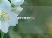 挪威杯赛程比分ds