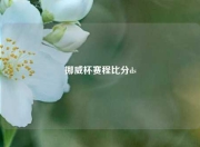 挪威杯赛程比分ds
