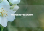 球探网比分手机旧版网球