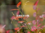 足球比分188网