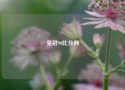 皇冠90比分网