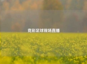 竞彩足球现场直播