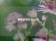 球探足球比分6.52万