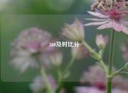 360及时比分