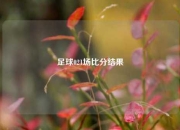 足球021场比分结果