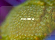 188及时比分