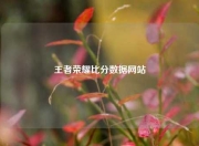 王者荣耀比分数据网站