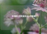 中国队对阿曼队比分预测