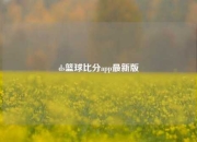ds篮球比分app最新版