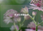 比分让球盘玩法