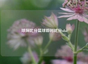 球探比分篮球即时比分nba