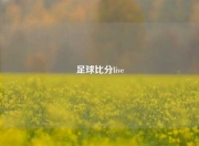 足球比分live