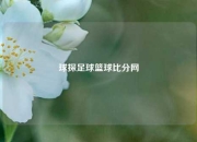 球探足球篮球比分网