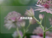 西澳超直播