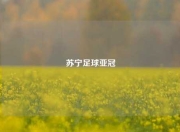 苏宁足球亚冠