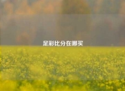 足彩比分在哪买